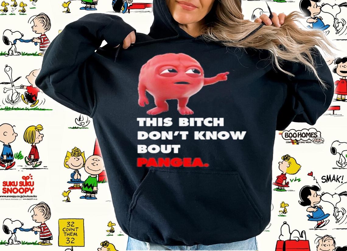 Lil Dicky Brain This Bitch Don't Know Bout Pangea Shirt t-shirt hoodie