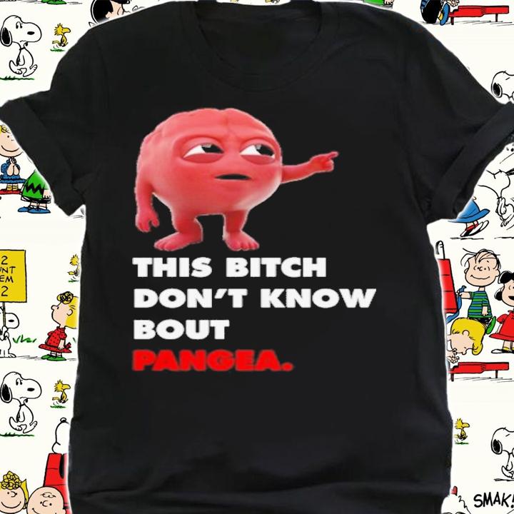 Lil Dicky Brain This Bitch Don't Know Bout Pangea Shirt t-shirt shirt