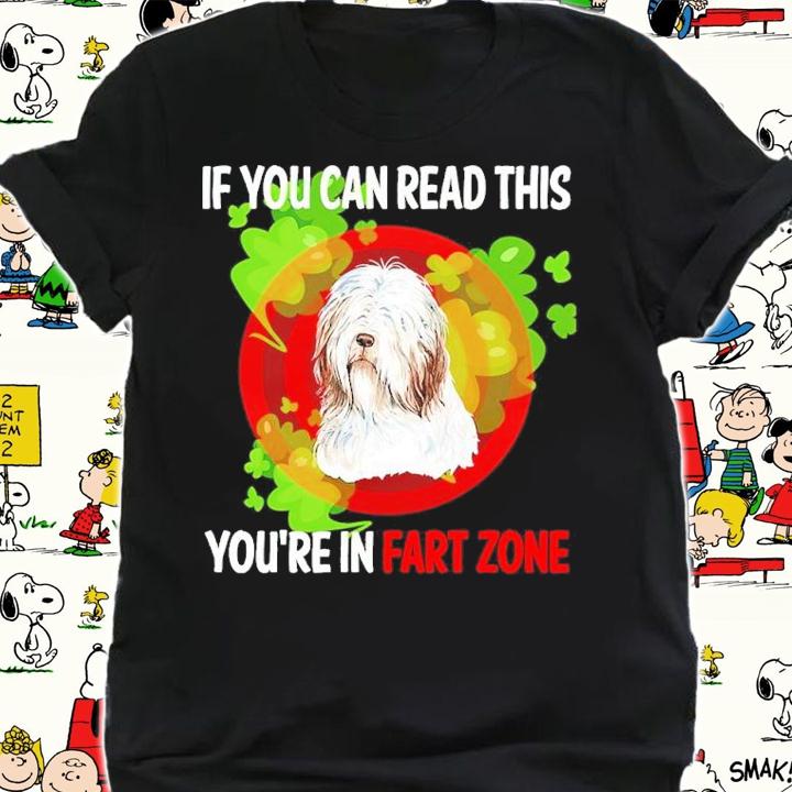 If you can read this you're fart zone shirt t-shirt